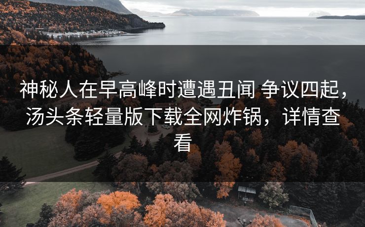 神秘人在早高峰时遭遇丑闻 争议四起，汤头条轻量版下载全网炸锅，详情查看