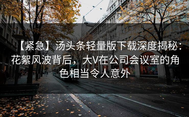 【紧急】汤头条轻量版下载深度揭秘：花絮风波背后，大V在公司会议室的角色相当令人意外